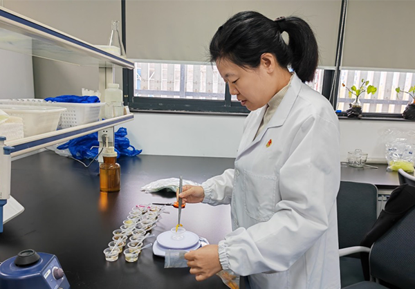 1673934741738418.png 官网图片尺寸.png